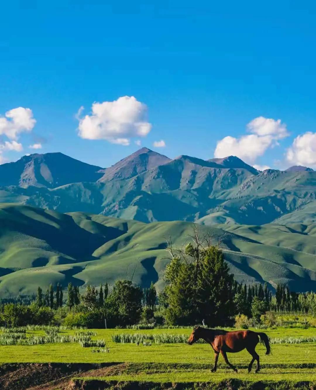 多元文化交融的边疆明珠——新疆