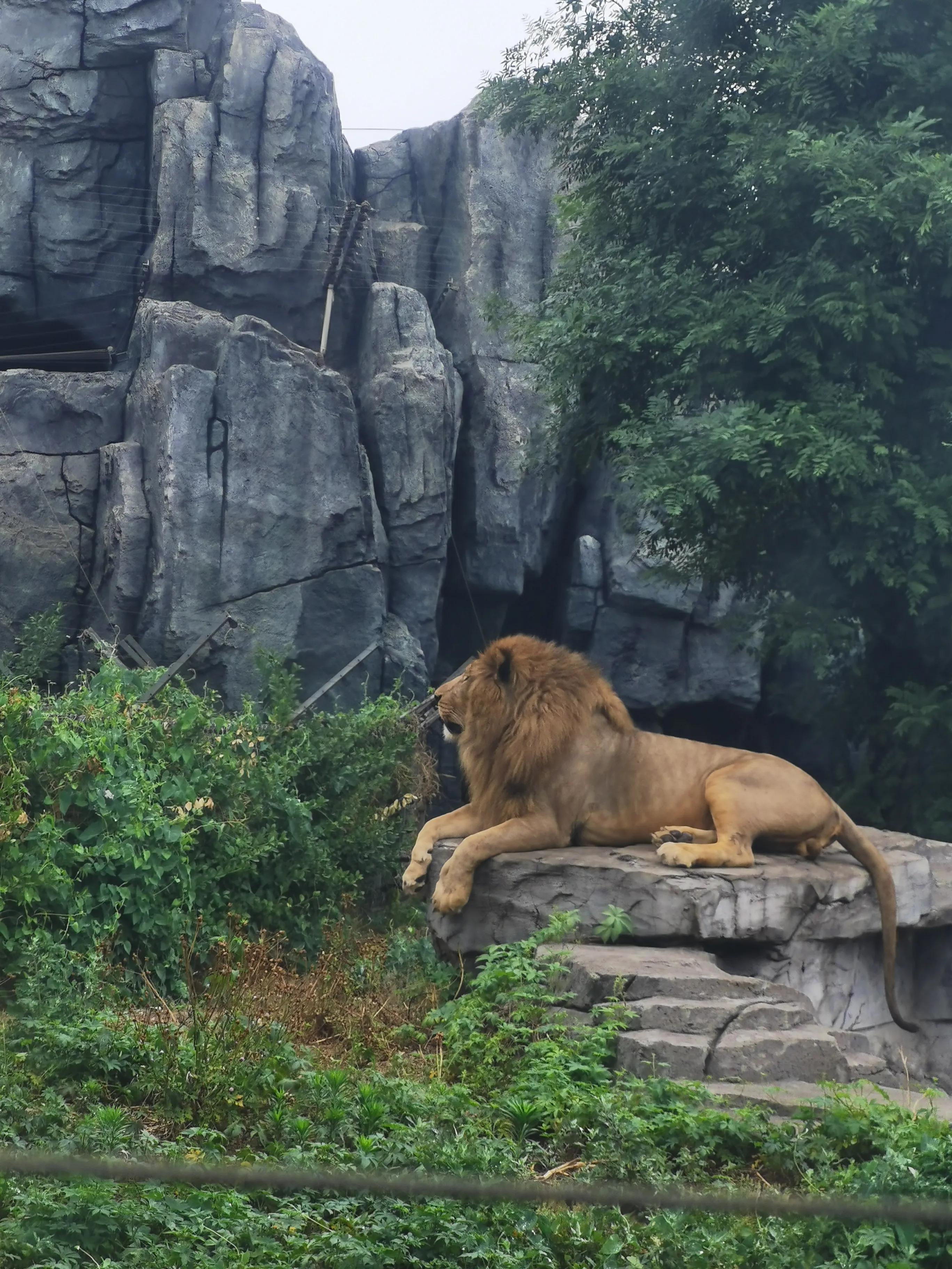 唐山，历史脉络、现状解读与未来展望