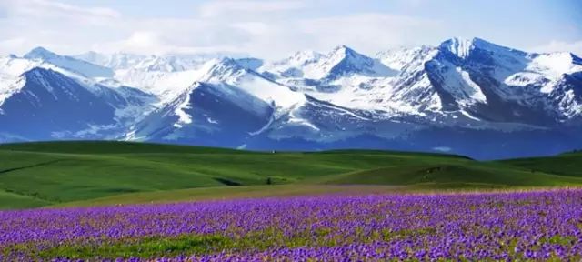 新疆，多元文化交融推动区域发展新篇章